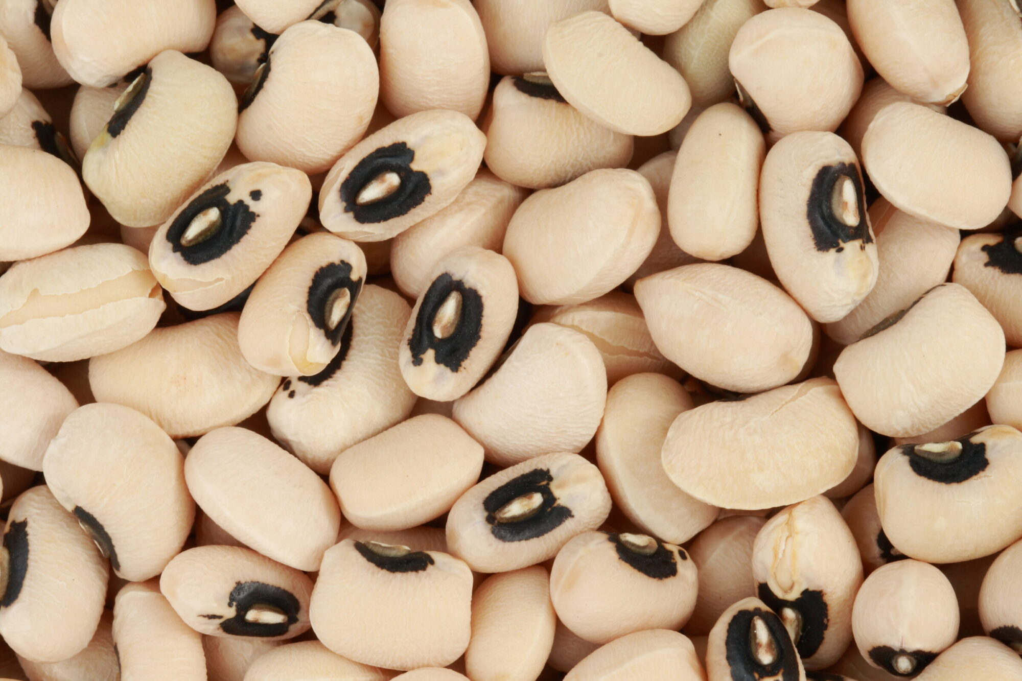 Black-eyed Peas